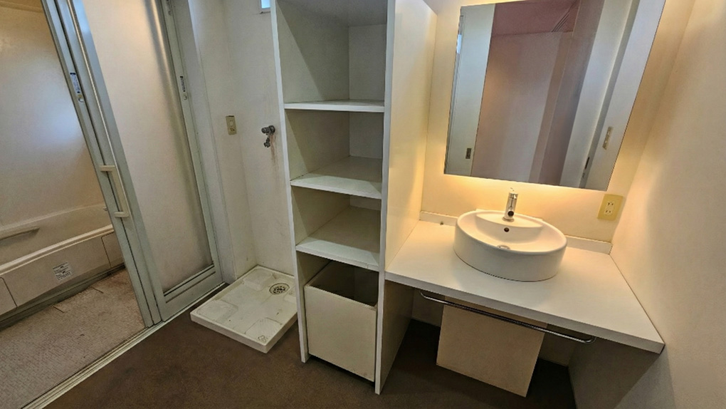 収納棚付きでゆとりを感じる洗面室