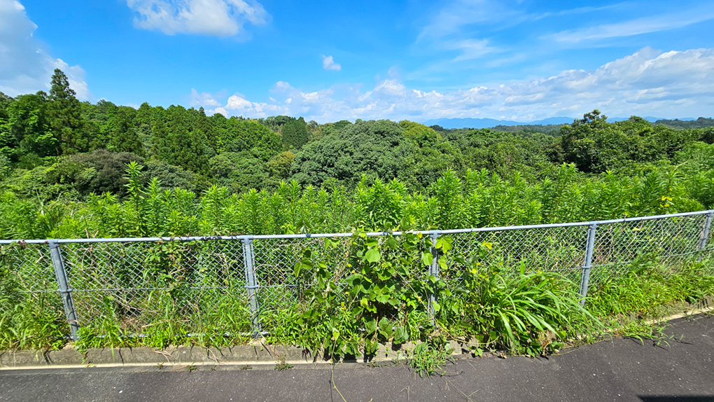 団地周辺は豊かな自然に囲まれており、四季折々の風景を楽しむことができます。