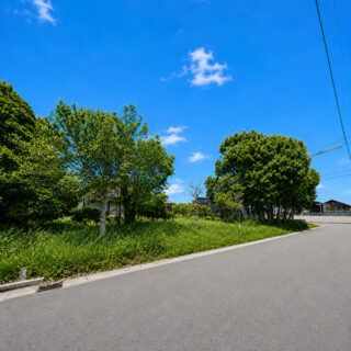 周辺街区との位置関係と敷地の広がりが伝わる図面です。