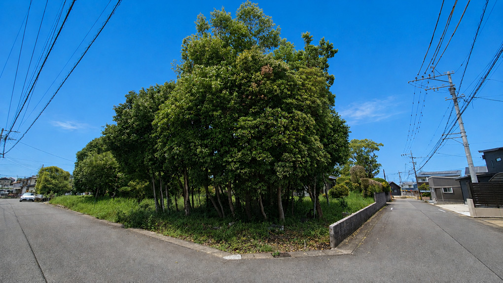 【角地】東南角地ならではの開放感と敷地規模が伝わる現地外観。