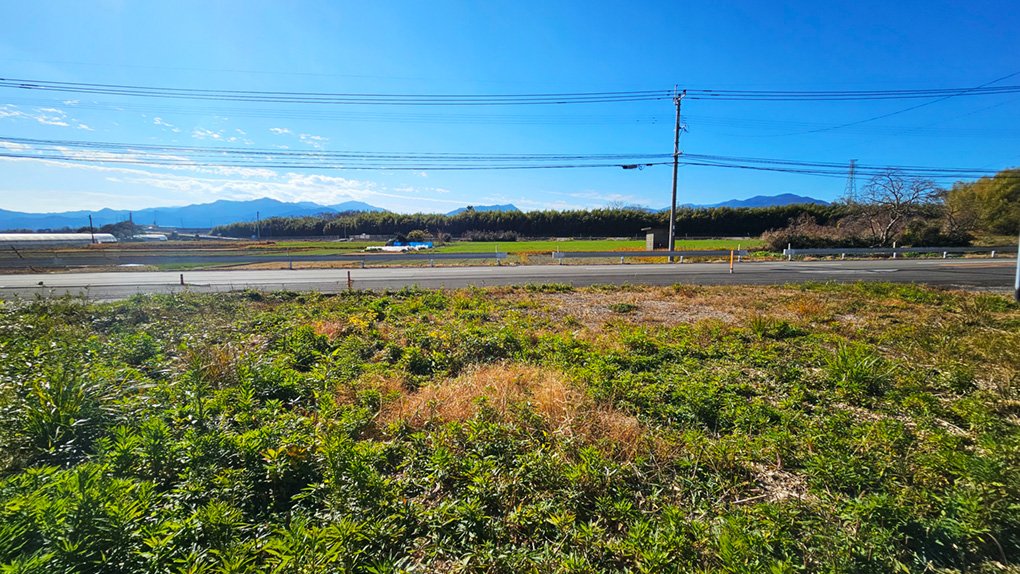 南側の道路向かいには田園風景が広がっています。