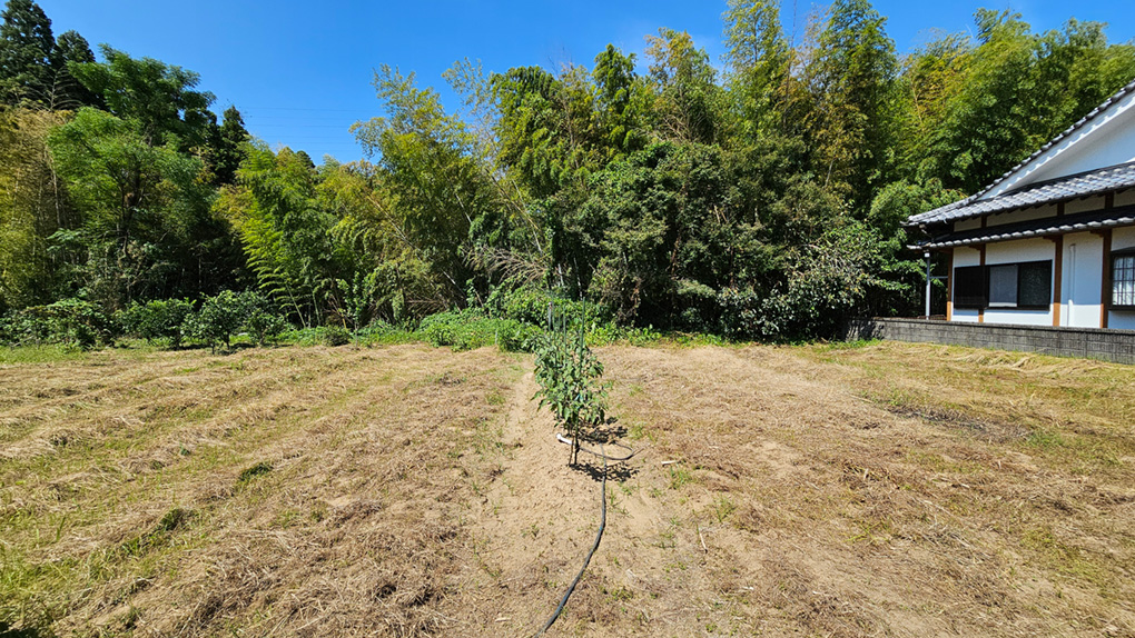 山林部分は平坦地で、現在は畑として利用されています。